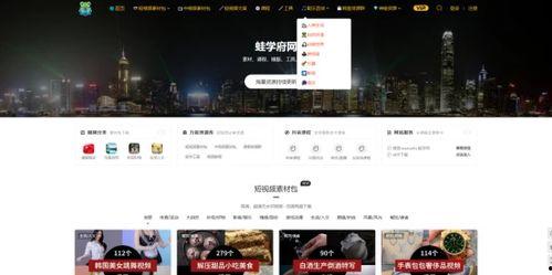 新闻爆料视频素材哪里找,揭秘新闻爆料视频素材的获取途径  第2张